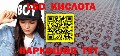 шишки Будённовск