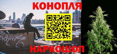 шишки Будённовск